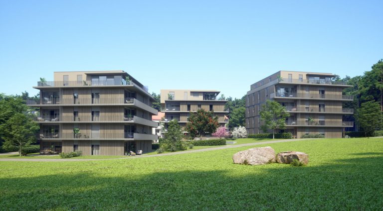 Der Blick von Westen auf das Gesamtbauvorhaben AM STADTWALD